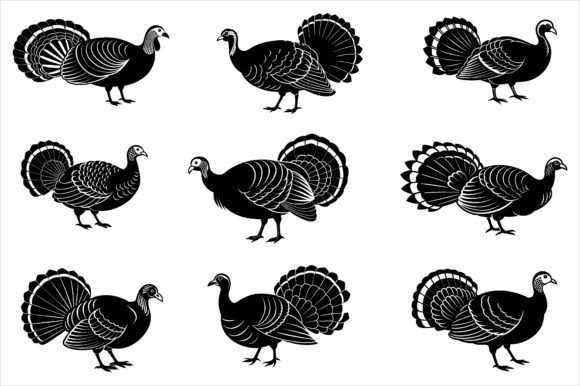 Turkey Vector Illustration Art Design